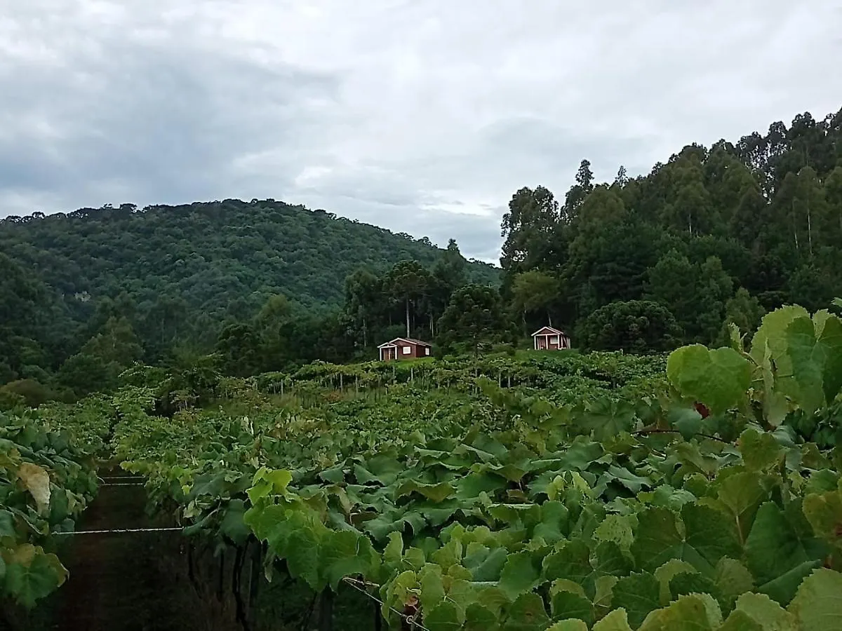 펜션 Cabana Uva Niagara 우루비시