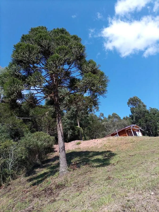 Cabana Uva Niágara Urubici Casa de Férias